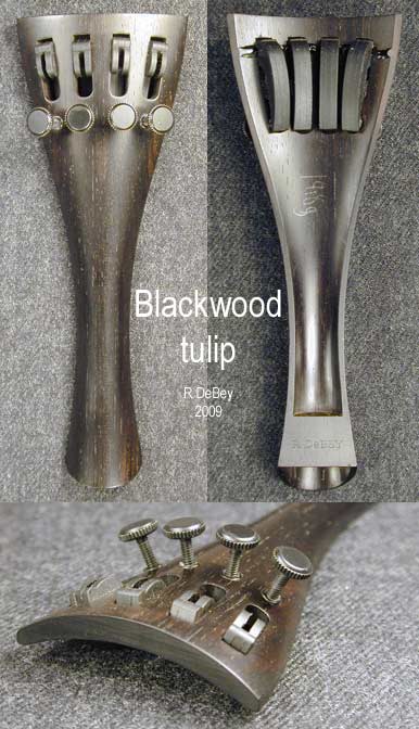 blackwood tulip